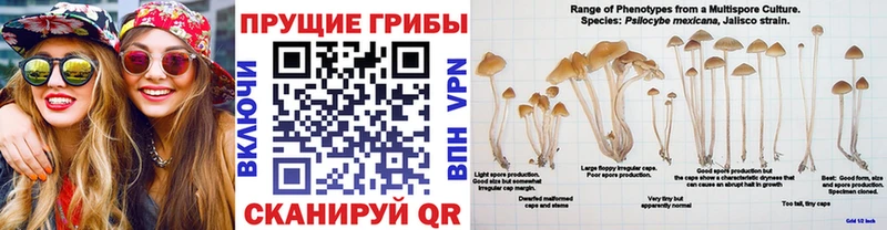 Псилоцибиновые грибы Magic Shrooms Электроугли